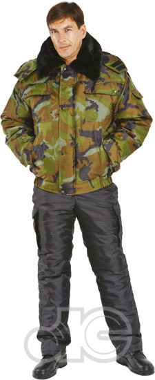 ������ ������